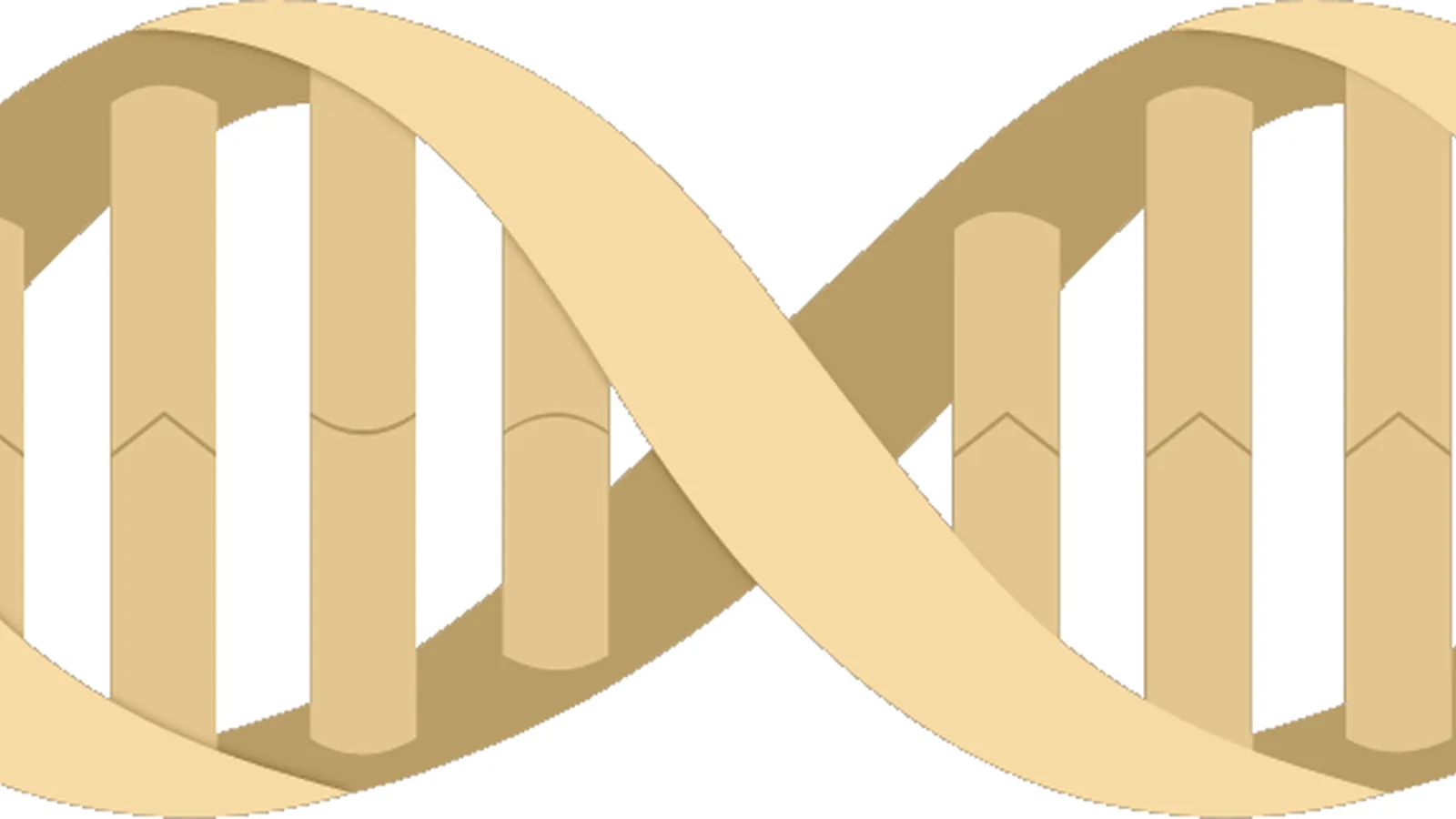 Illustrasjon av en DNA-spiral